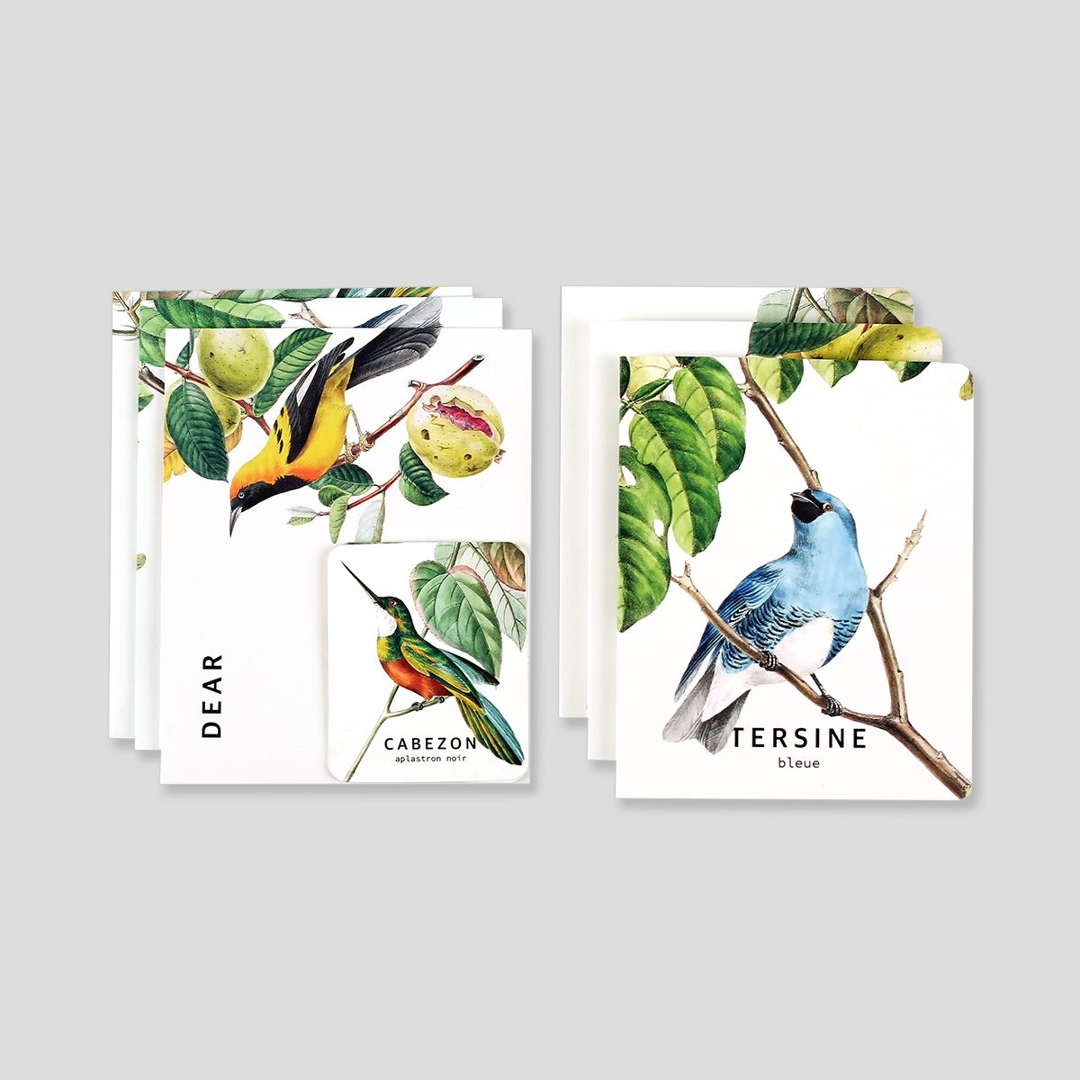 Card set-09 Bird