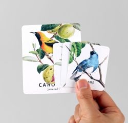 Card set-09 Bird