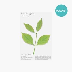Leaf Magnet_Birch