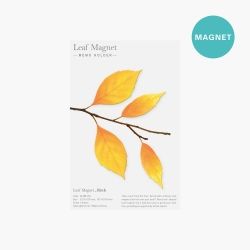 Leaf Magnet_Birch