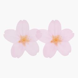 StickyLeaf_T-Cherry Blossom_White_L
