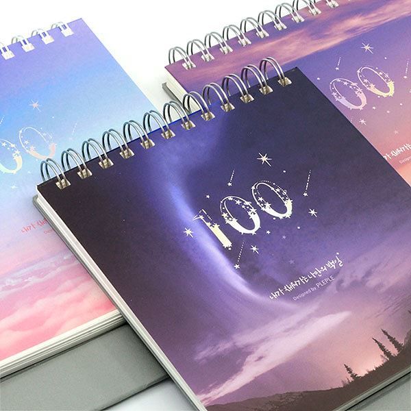 My 100 Day's Planner