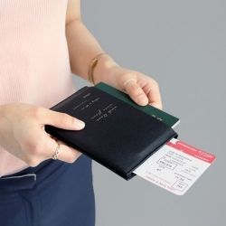 Slit Passport Case
