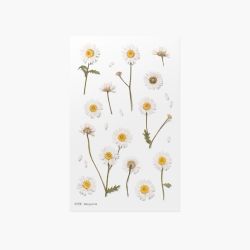 Press Flower Sticker_Marguerite