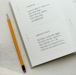 Monologue sentence Diary