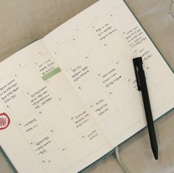 Monologue One Question Diary