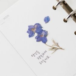 Press Flower Stickers_Larkspur 