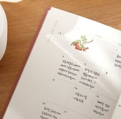 2020 Ordinary Day Diary