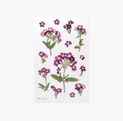 Press Flower Stickers_Verbena