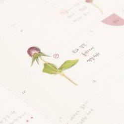 Press Flower Stickers_Globe amaranth