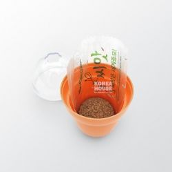 Mini Endive Grow Kit 