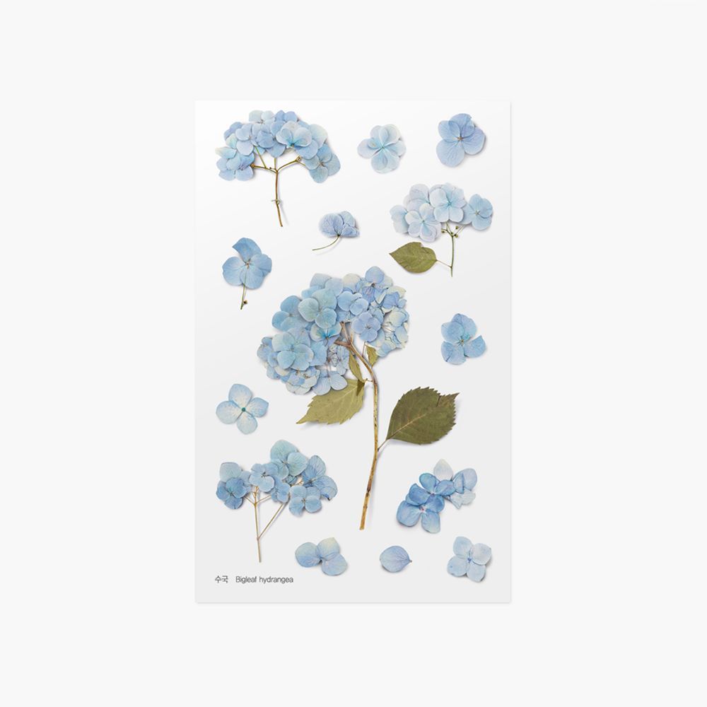 Press Flower Stickers_Bigleaf hydrangea