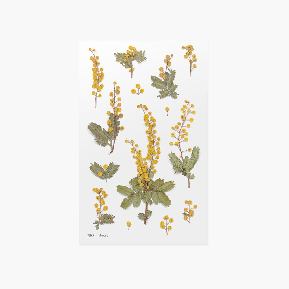 Press Flower Stickers_Mimosa
