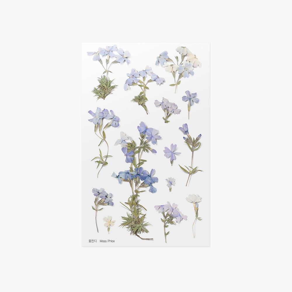 Press Flower Stickers_Moss phlox