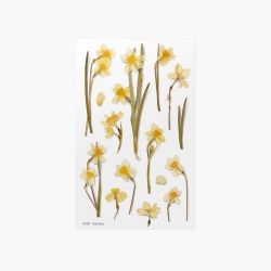 Press Flower Stickers_Narcisuss
