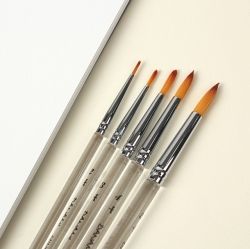 Watercolor Brushs with Clear Body set of 5, Round Brushs(1,2,3,4,5)