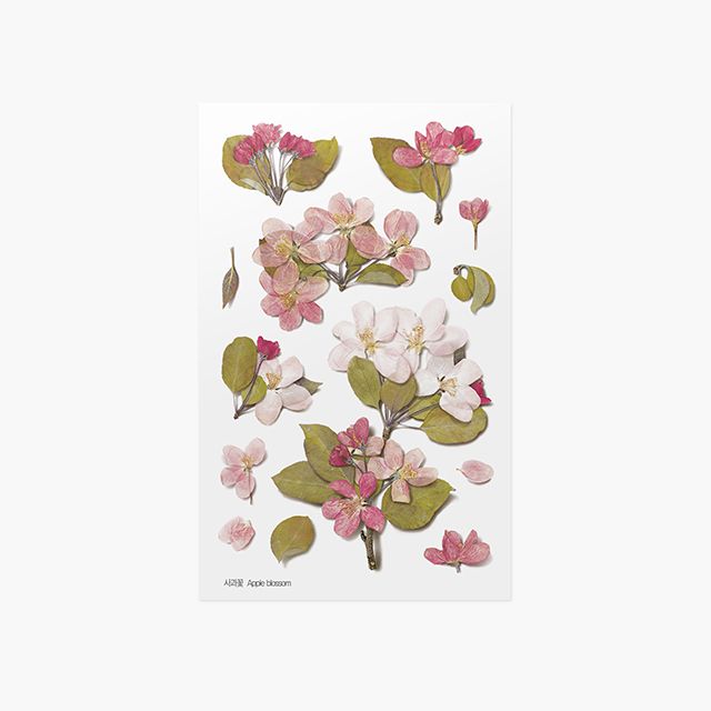 Press Flower Stickers_Apple blossom