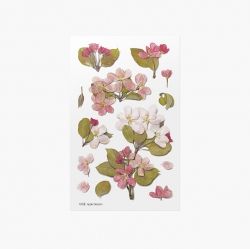 Press Flower Stickers_Apple blossom