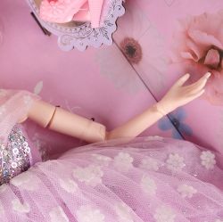 Princess Raina Spherical Joint Doll