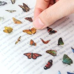 Nature Stickers_Butterfly