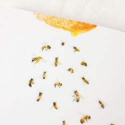 Nature Stickers_Honey bee