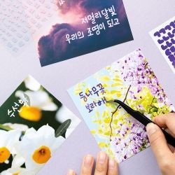 Calligraphy HANGEUL Sticker Pack - Sugar Pop
