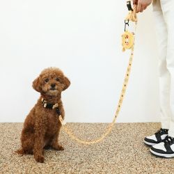 CHOONSIK Dog Collar 