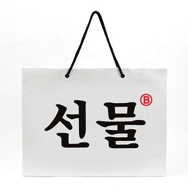 Paper Shopping Bag L
