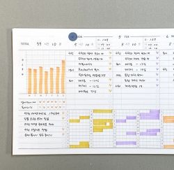THE MEMO Wide Study Planner, 6Months 