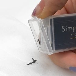 Simple Life Magnet Earser 32pcs