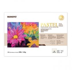 Professional Pastel Paper Pad, A3 Size 