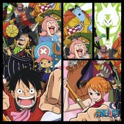 One Piece Jigsaw Puzzle 500Pieces - a firm resolution