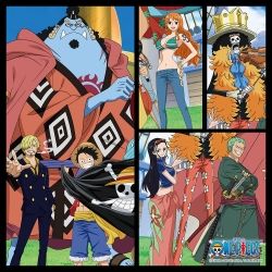 One Piece Jigsaw Puzzle 500pcs