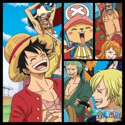 One Piece Jigsaw Puzzle 1000pcs