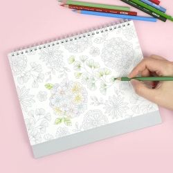 Color Drawing 2024 Desk Calendar (Set of 2pcs)