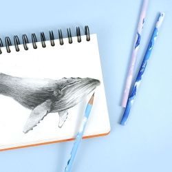 The Whale Pencil Set of 10