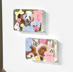 Acrylic Magnet Frame Set, Random