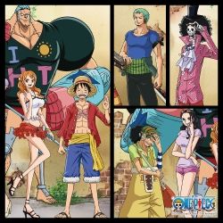 One Piece Jigsaw Puzzle 1000pcs