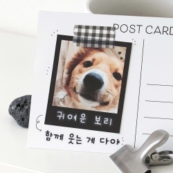 Doodle Hangeul Sticker Pack