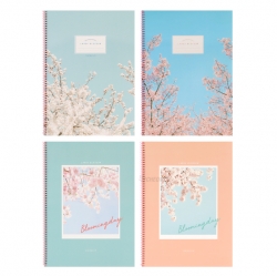 Spring Note Cherry Blossom , Set of 5pcs