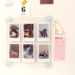 Window Seal Photo Card 6 Pockets 