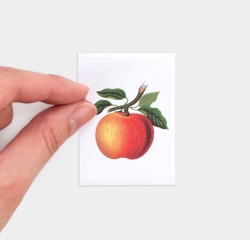 Sticker Pack - Fruit