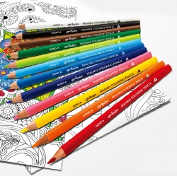 Ardor Eraseble Colored Pencils 12color 1set