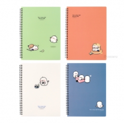 3000 Little PP Notebook