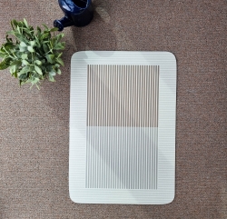 Washable Beige Bathroom Kitchen Toilet Diatom Mat