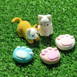 Cat's Reward Random Eraser,  Set of 60