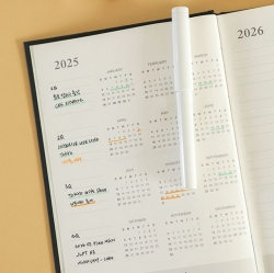 2025 timeline Diary