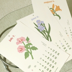 2025 Life Gardener Wall Calendar (2 type)