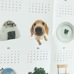 2025 Photo Paper Calendar