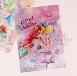 Disney Princess A4 Clear File